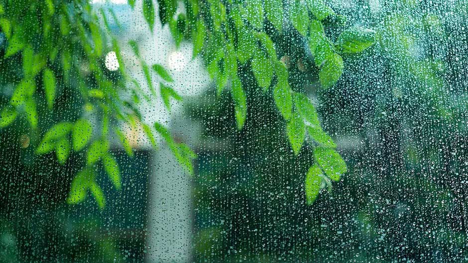 6月＜水無月：みなづき＞