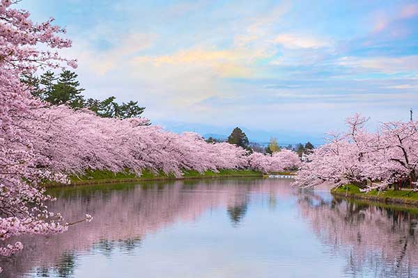 時候の挨拶・季節の挨拶4月＜卯月：うづき＞上旬・中旬・下旬別の使用 ...