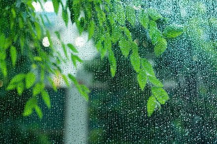 トップ_時候の挨拶（季節の挨拶）6月＜水無月：みなづき＞
