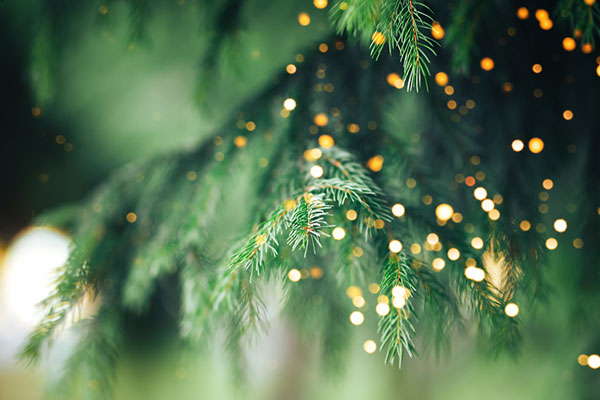 クリスマスカードで心華やぐ