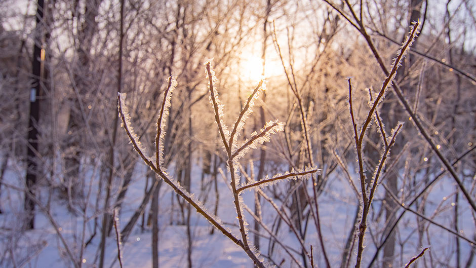 冬が駆け足で近づいてまいりました。