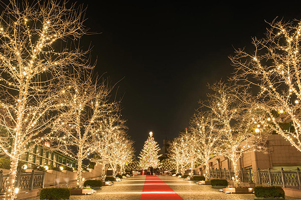 時候の挨拶（季節の挨拶）12月＜師走：しわす＞