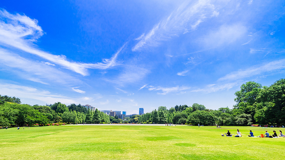 風薫るさわやかな季節となりました。